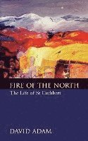 bokomslag Fire of the North