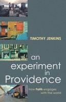 bokomslag An Experiment in Providence: How Faith Engages the World
