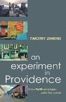 An Experiment in Providence: How Faith Engages the World