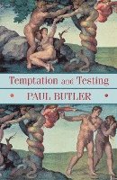 bokomslag Temptation And Testing