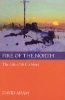 bokomslag Fire of the North