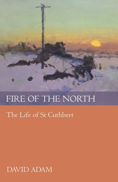 bokomslag Fire of the North