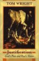 Tom Wright - Justification, Häftad