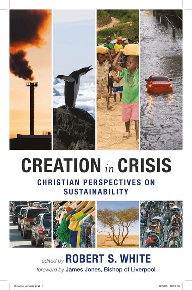 Robert S. White - Creation in Crisis, Häftad