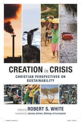 Robert S. White, Professor Robert S. White, Robert White - Creation in Crisis, Häftad