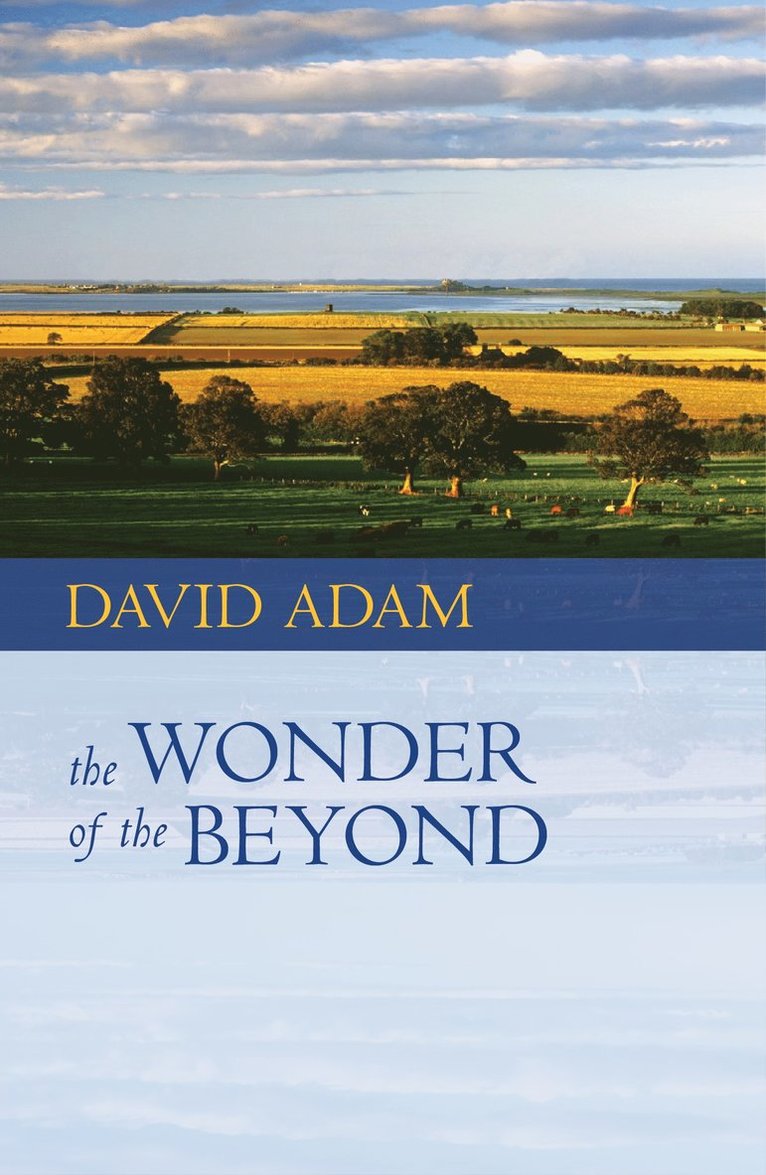 David Adam - Wonder of the Beyond, Häftad
