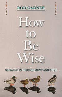 bokomslag How To Be Wise