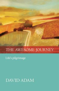 bokomslag Awesome Journey