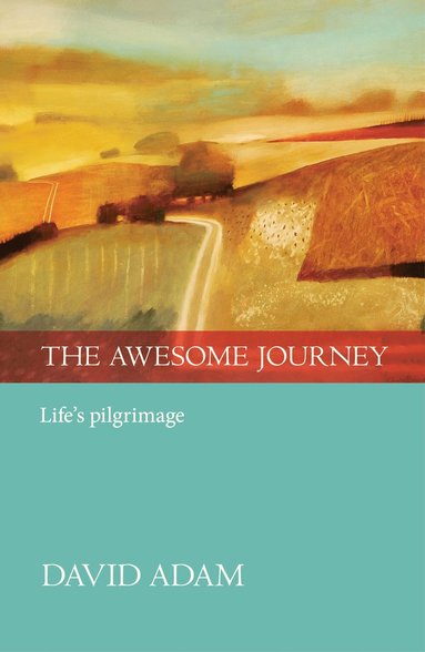 bokomslag Awesome Journey