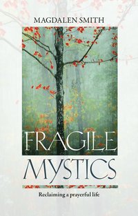 bokomslag Fragile Mystics