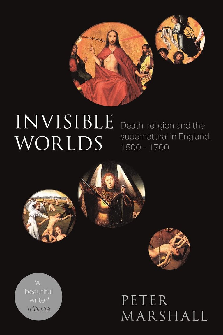 Peter Marshall, Professor Peter Marshall - Invisible Worlds, Häftad