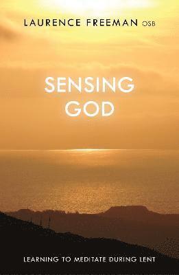 bokomslag Sensing God