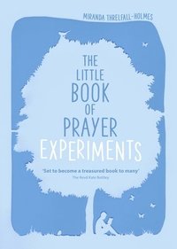 bokomslag The Little Book of Prayer Experiments