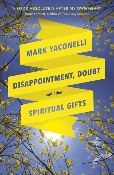 bokomslag Disappointment, Doubt and Other Spiritual Gifts