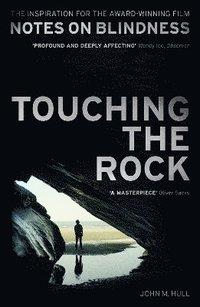 bokomslag Touching the Rock