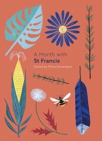 bokomslag A Month with St Francis