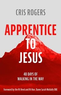 bokomslag Apprentice to Jesus
