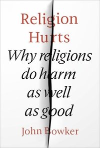 bokomslag Religion Hurts