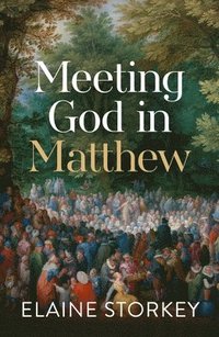 bokomslag Meeting God in Matthew