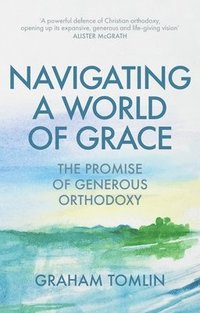 bokomslag Navigating a World of Grace