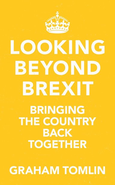 bokomslag Looking Beyond Brexit