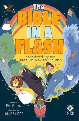 Philip Law - Bible in a Flash, Häftad