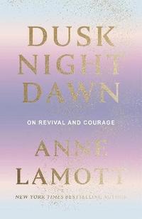 bokomslag Dusk Night Dawn