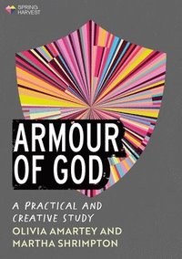 bokomslag Armour of God