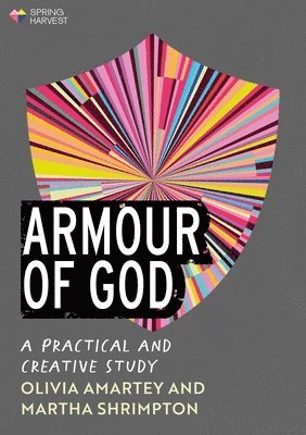 Armour of God 1