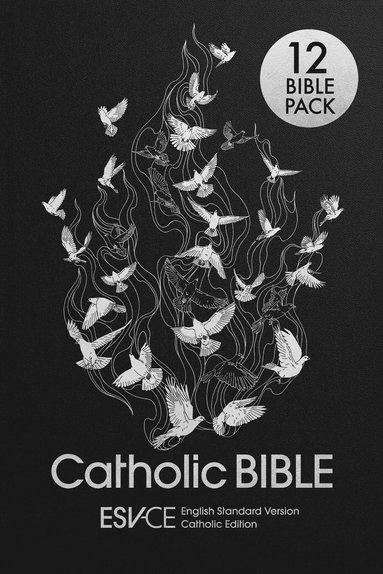 bokomslag ESV-CE Catholic Bible. The Official Liturgical Bible for England, Wales and Scotland from Advent 24 - 12 PACK