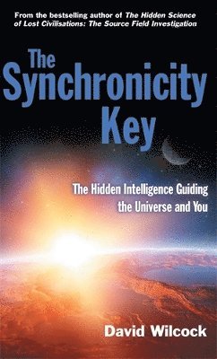 David Wilcock - Synchronicity Key, Häftad
