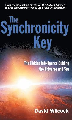 The Synchronicity Key 1