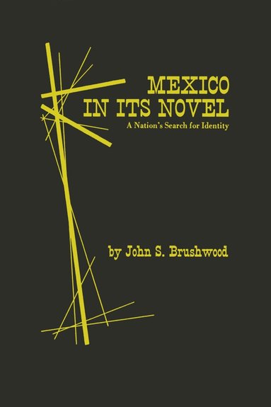 John S. Brushwood - Mexico in Its Novel, Häftad