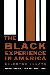 bokomslag The Black Experience in America