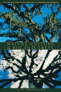 bokomslag Nature, Culture, and Big Old Trees
