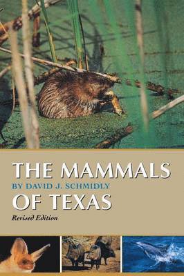The Mammals of Texas