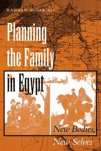 bokomslag Planning the Family in Egypt