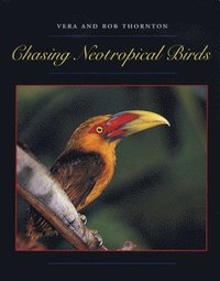 bokomslag Chasing Neotropical Birds