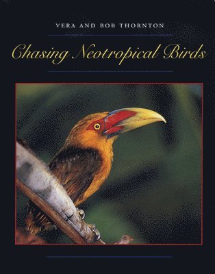 bokomslag Chasing Neotropical Birds