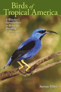bokomslag Birds of Tropical America