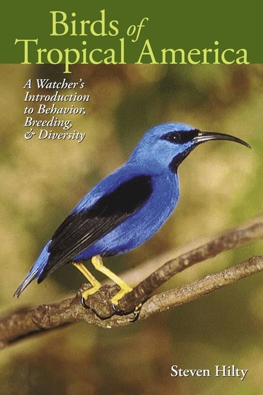 Steven Hilty - Birds of Tropical America, Häftad