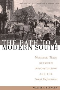 bokomslag The Path to a Modern South