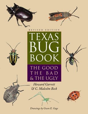 bokomslag Texas Bug Book