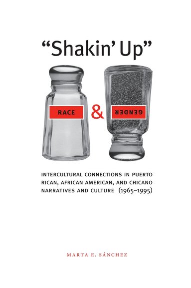 Marta E. Sánchez - Shakin' Up Race and Gender, Häftad