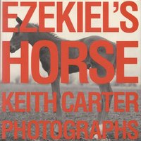 bokomslag Ezekiel's Horse