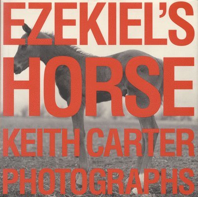 Ezekiel's Horse 1