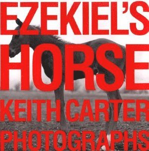 Ezekiel's Horse 1