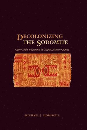 bokomslag Decolonizing the Sodomite