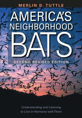 America's Neighborhood Bats 1