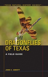 bokomslag Dragonflies of Texas